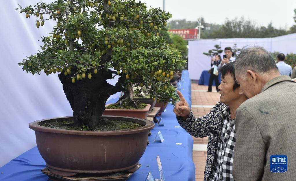 捕鱼大作战3d官方网站